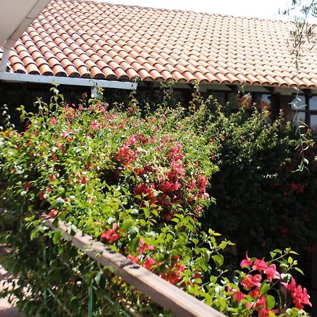 Hostal Viejo Olivo Sucre Eksteriør billede
